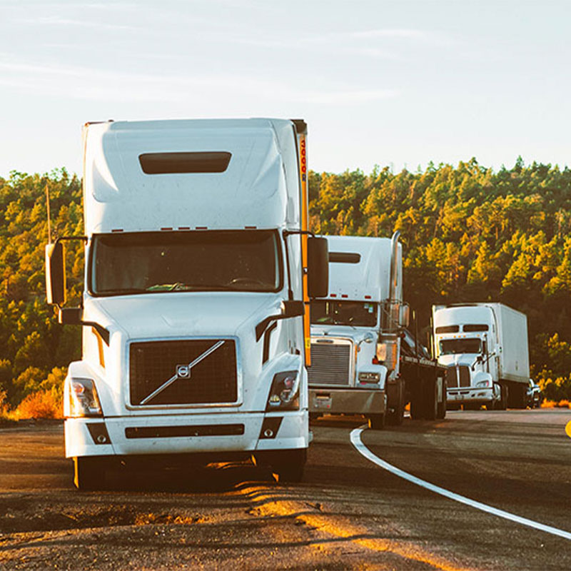 servflota logiserv az